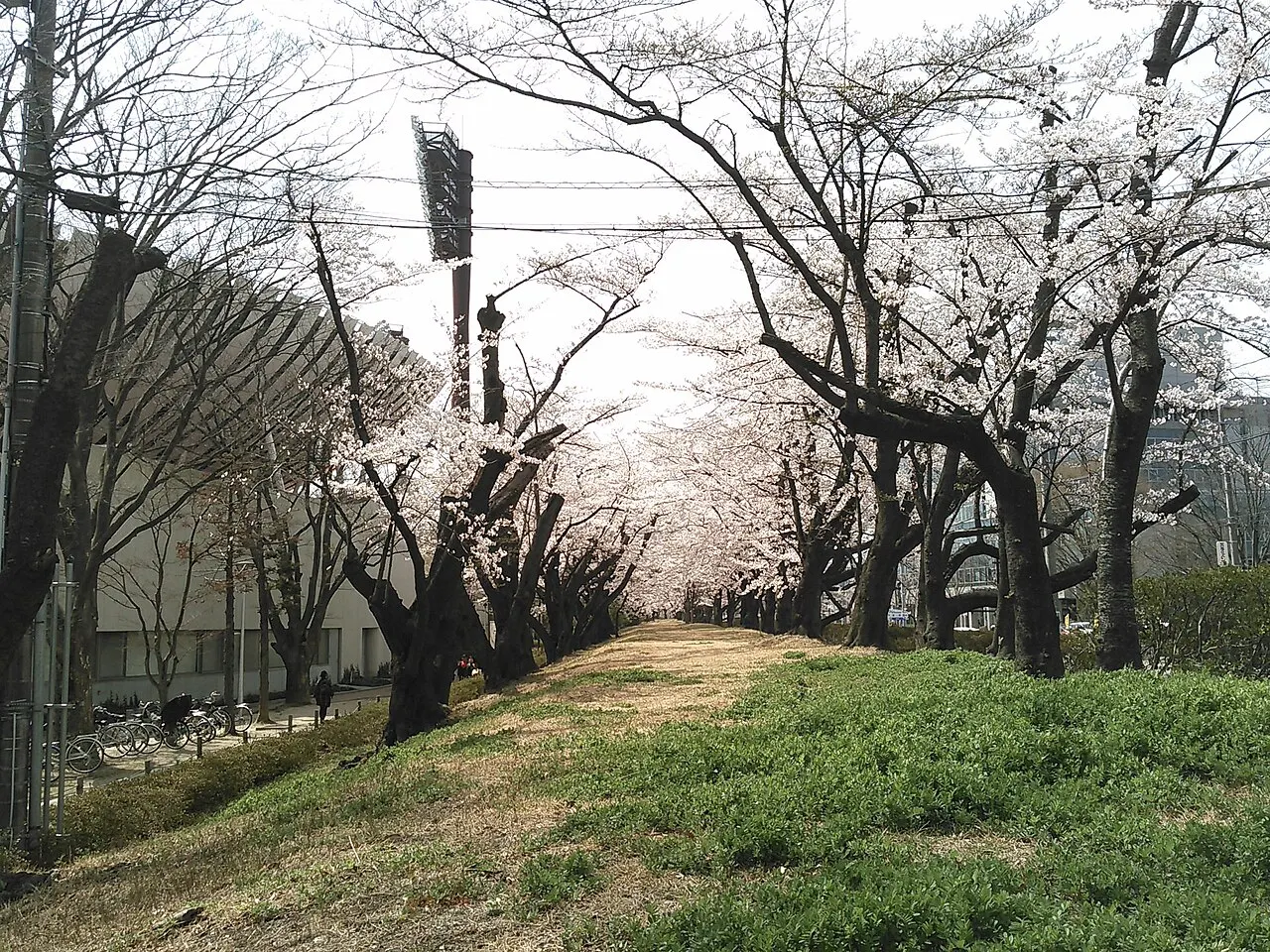 Kaiseizan Park, Kōriyama, Fukushima, Japan