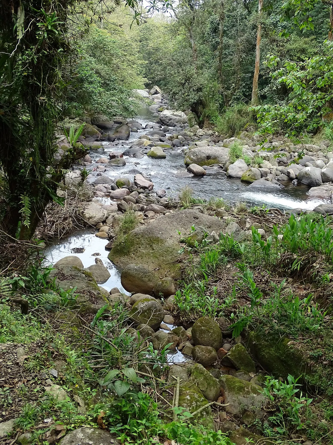 Cascada La Monja, Xico, Veracruz, Mexico