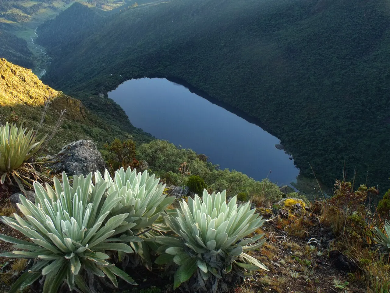 Laguna Negra, Mérida, Mérida, Venezuela