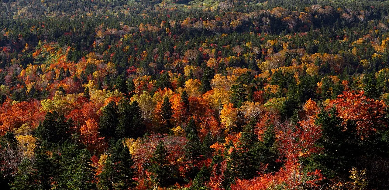 Hakkōda Mountains, Aomori, Aomori, Japan