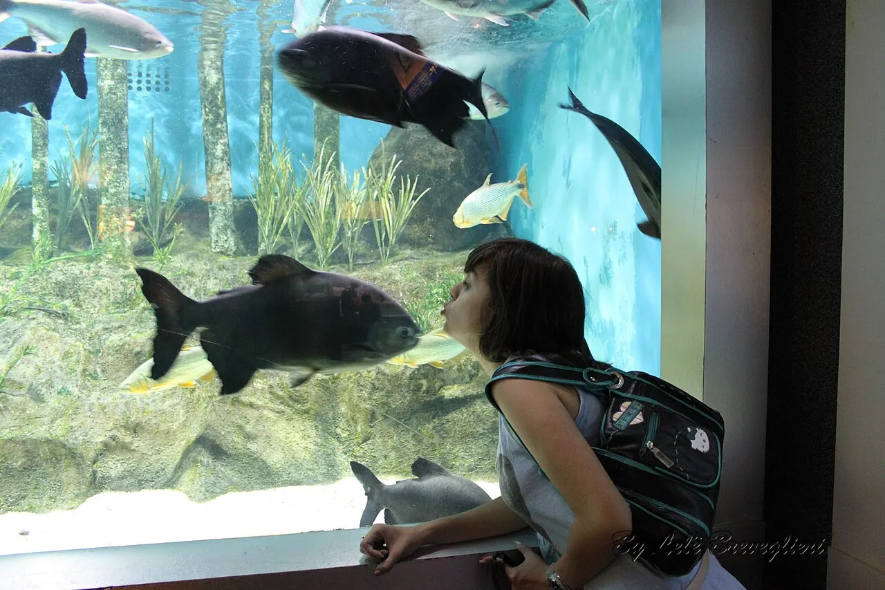 Acqua Mundo, Guarujá, São Paulo, Brazil