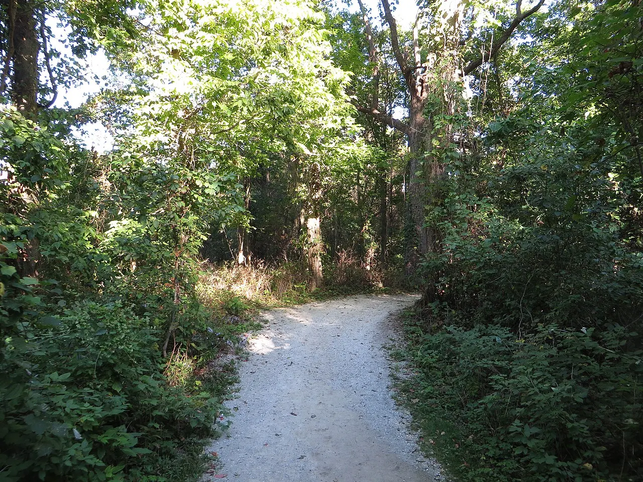 Woodland Nature Trail, Point Pelee National Park, Ontario, Canada