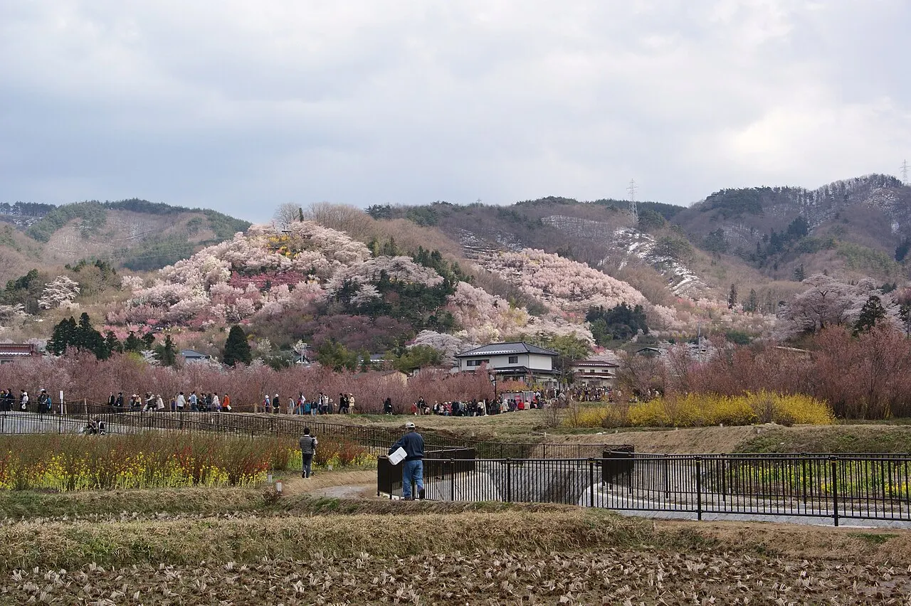 Hanamiyama Park, Fukushima, Fukushima, Japan