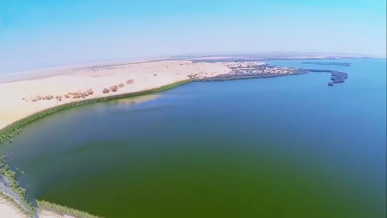 Al-Asfar Lake, Al Hufūf, Eastern Province, Saudi Arabia