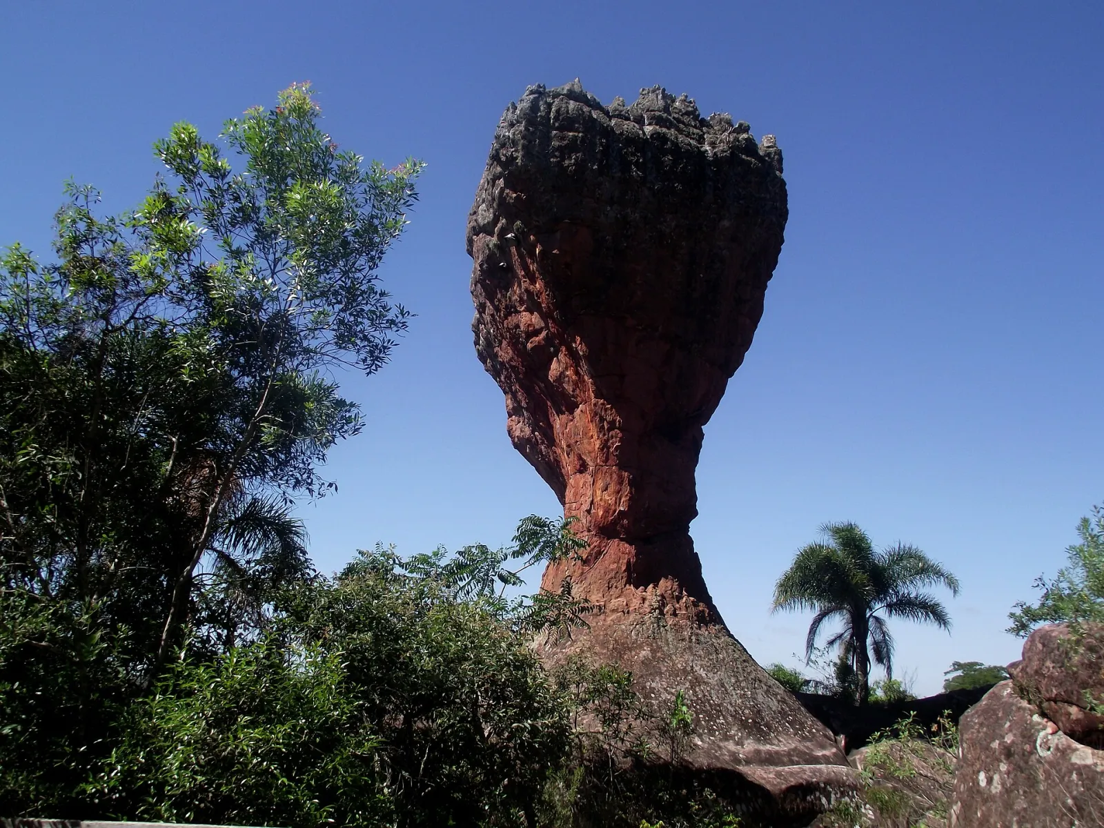 Ponta Grossa, Paraná, Brazil