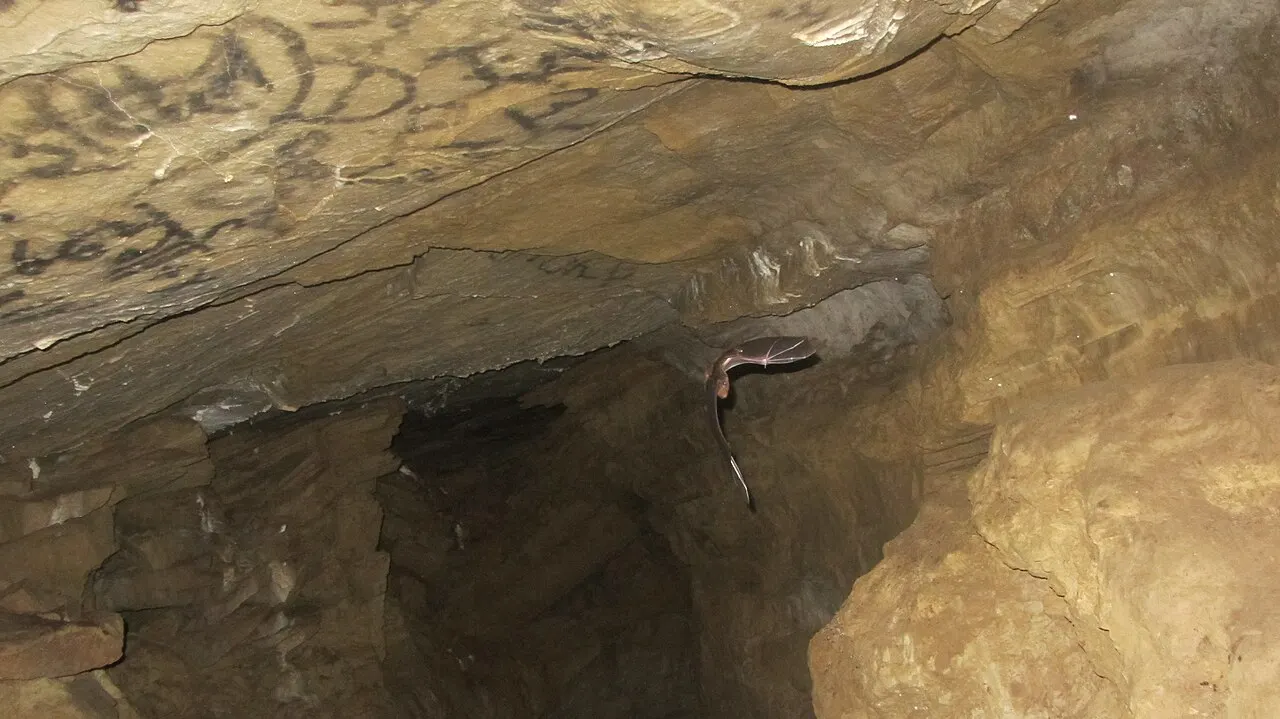 Bat Cave and Mahendra Cave, Pokhara, Nepal