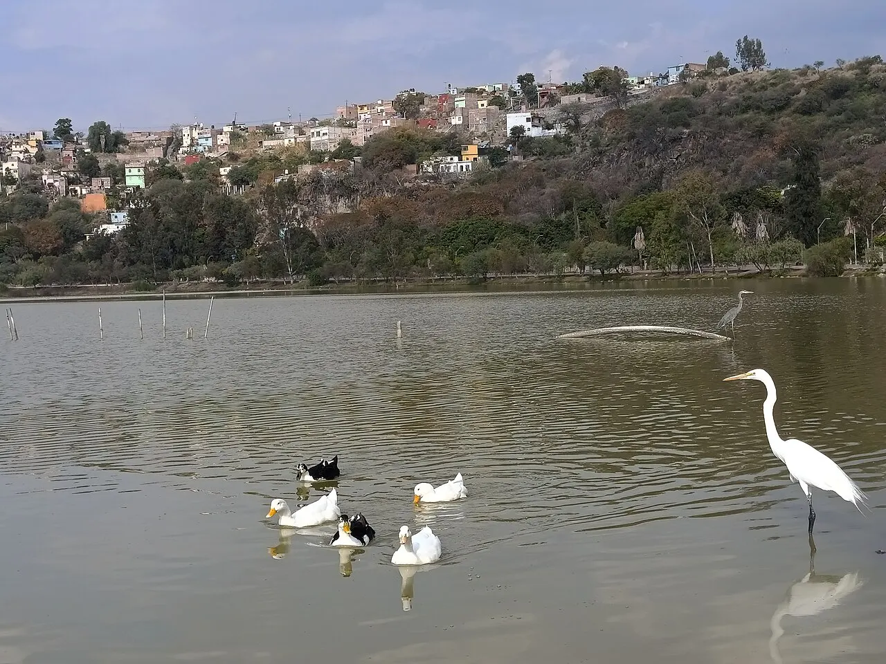 Cráter La Joya Yuriria, Yuriria, Guanajuato, Mexico
