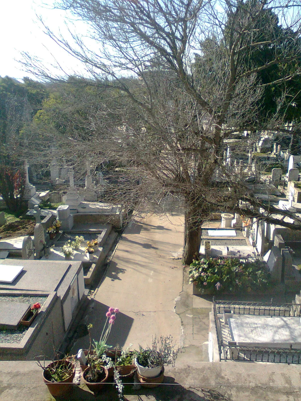 Cemetery of Dissidents, Valparaíso, Valparaiso, Chile