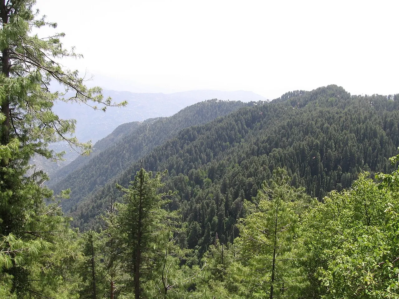 Ayubia, Abbottabad, Khyber Pakhtunkhwa, Pakistan