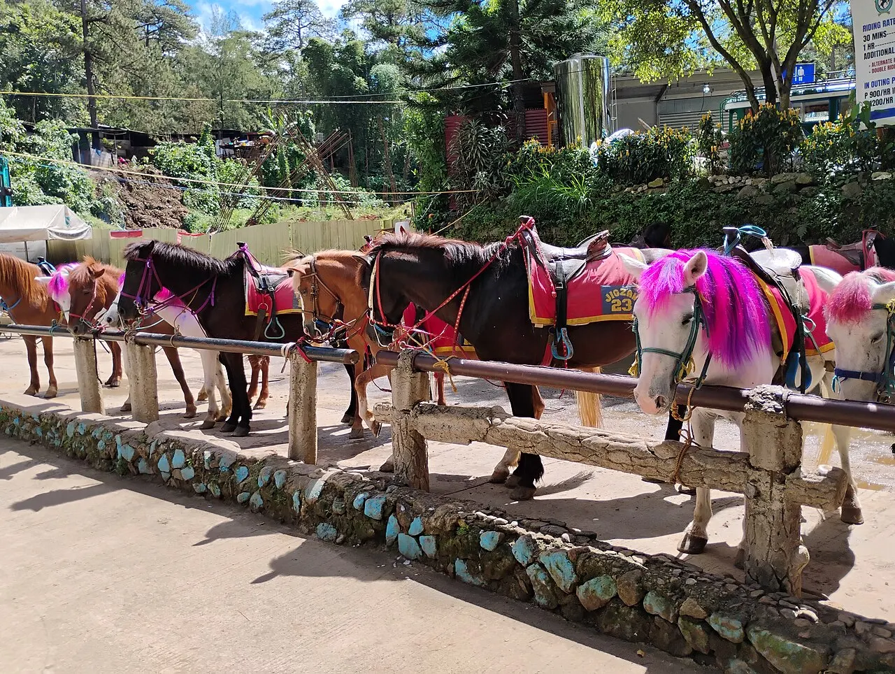 Wright Park (Baguio), Baguio, Cordillera Administrative Region, Philippines