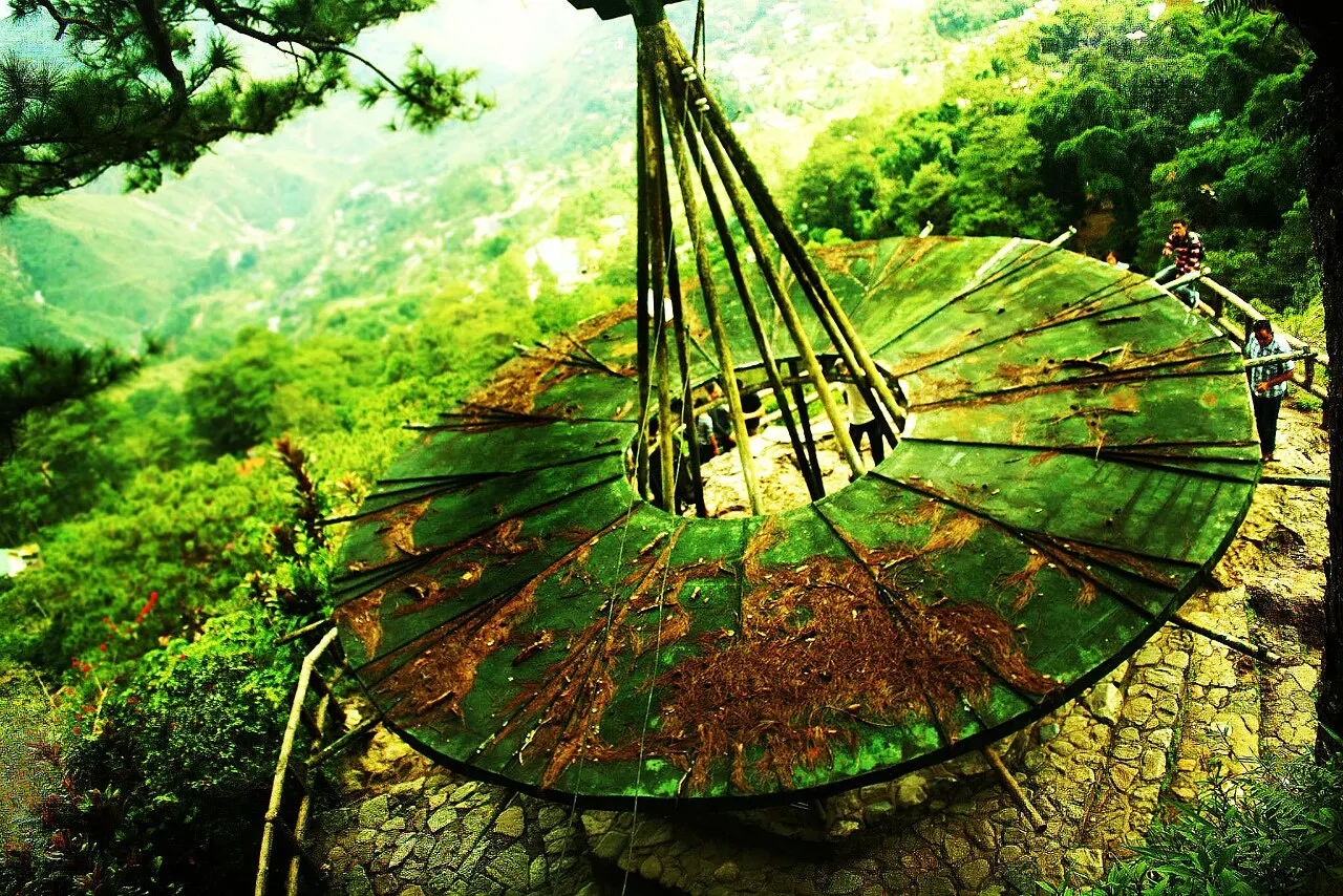 Mines View Park, Baguio, Cordillera Administrative Region, Philippines
