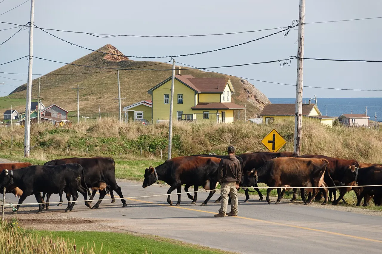 Fromagerie du Pied-de-Vent, Magdalen Islands, Quebec, Canada