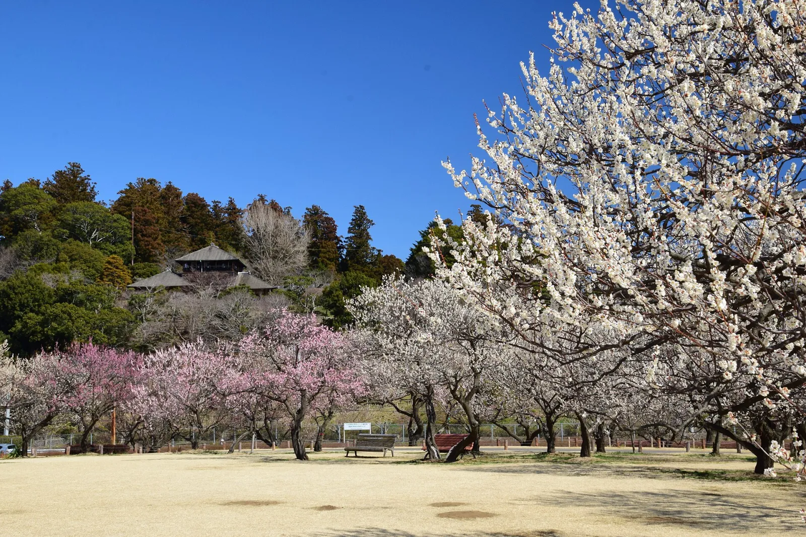 Mito, Ibaraki, Japan