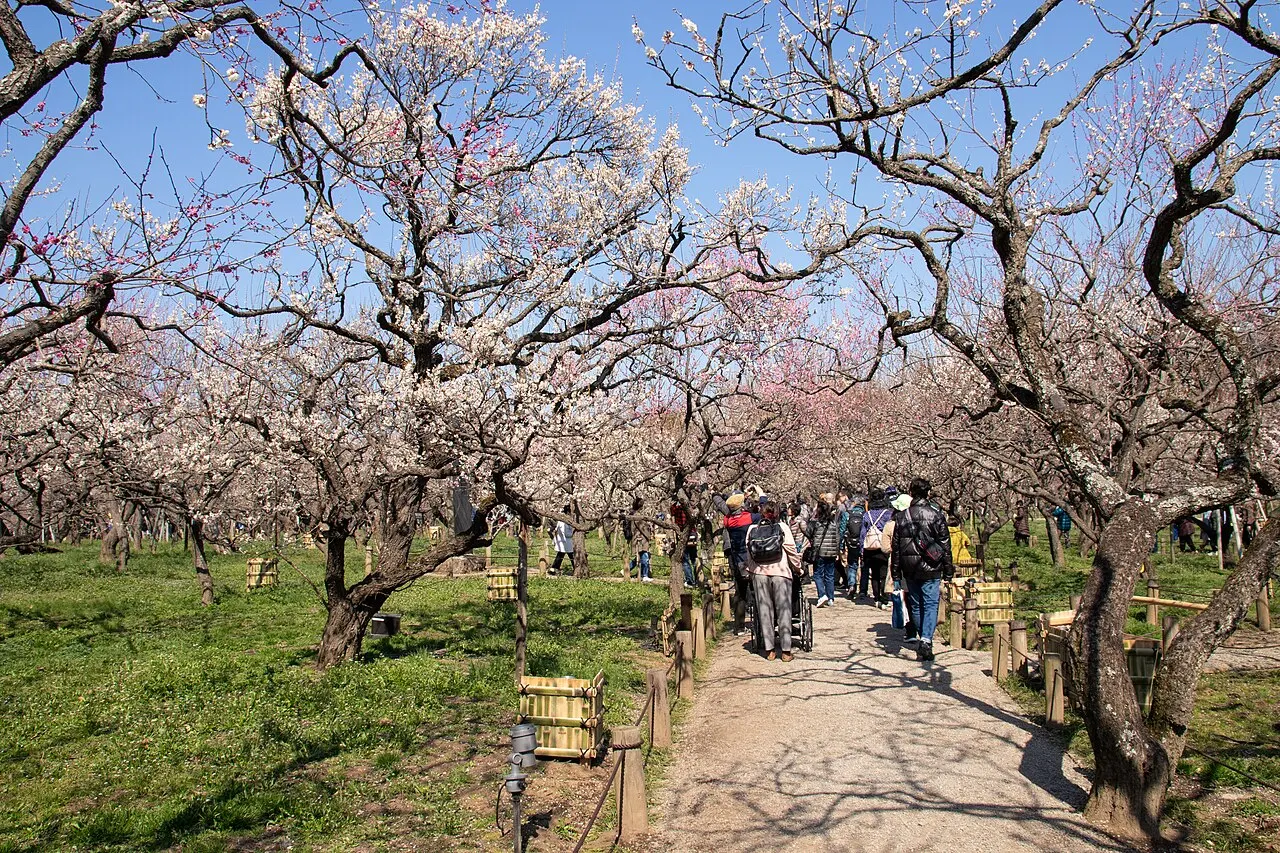 Kairaku-en, Mito, Ibaraki, Japan