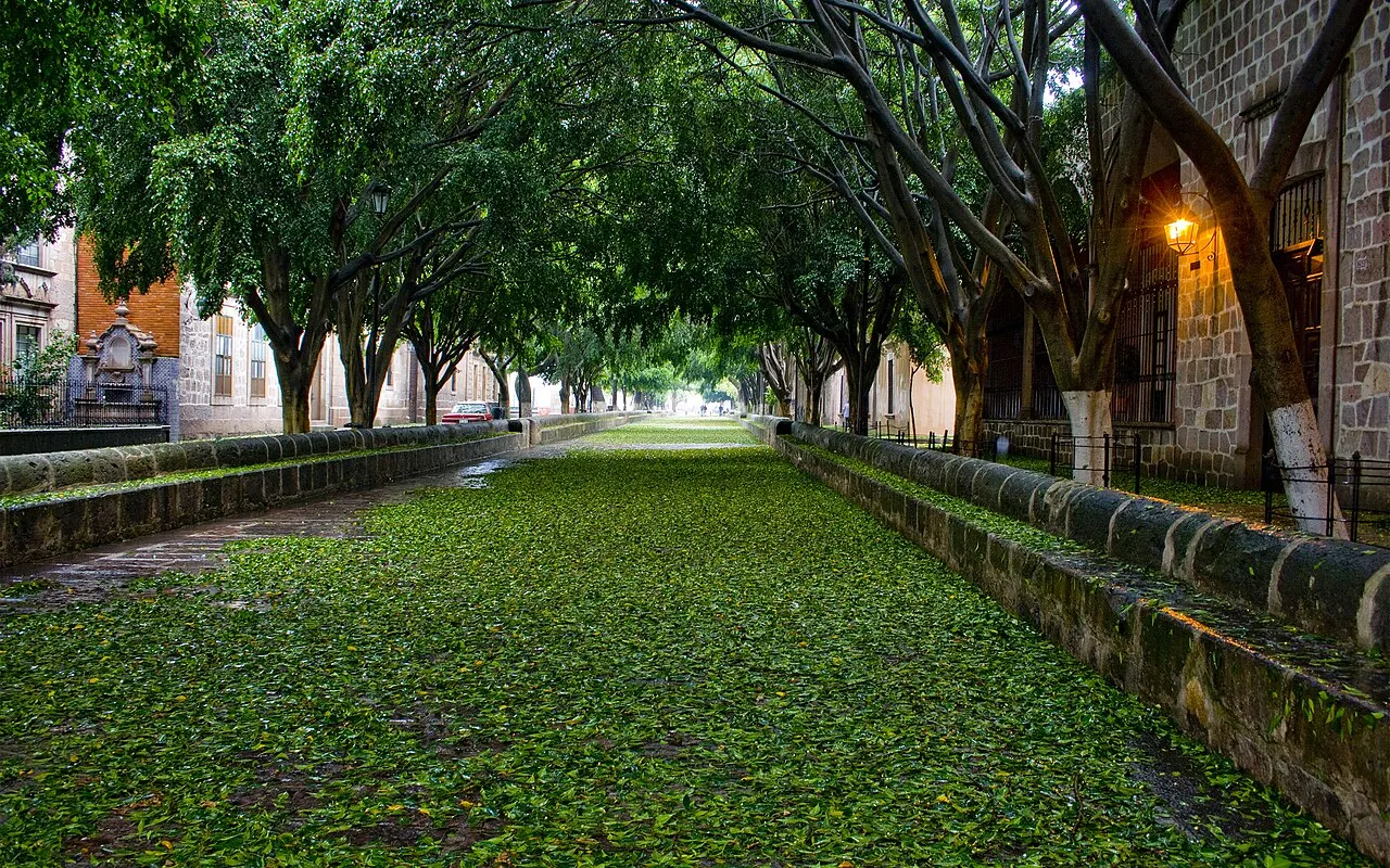 Calzada Fray Antonio de San Miguel, Morelia, Michoacán, Mexico