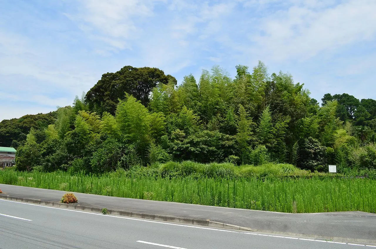 Shibunomaruyama Kofun, Tokushima, Tokushima, Japan