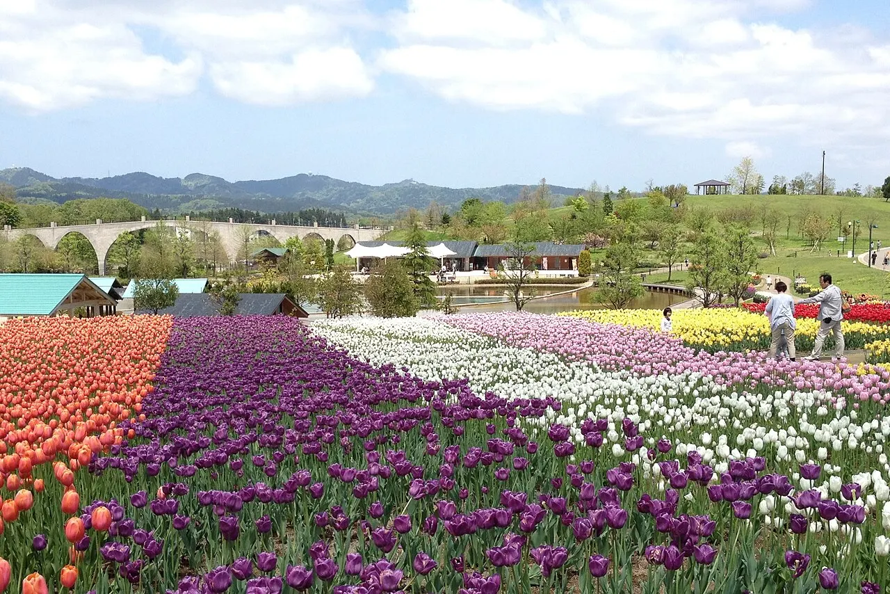 Echigo Hillside Park, Nagaoka, Niigata, Japan