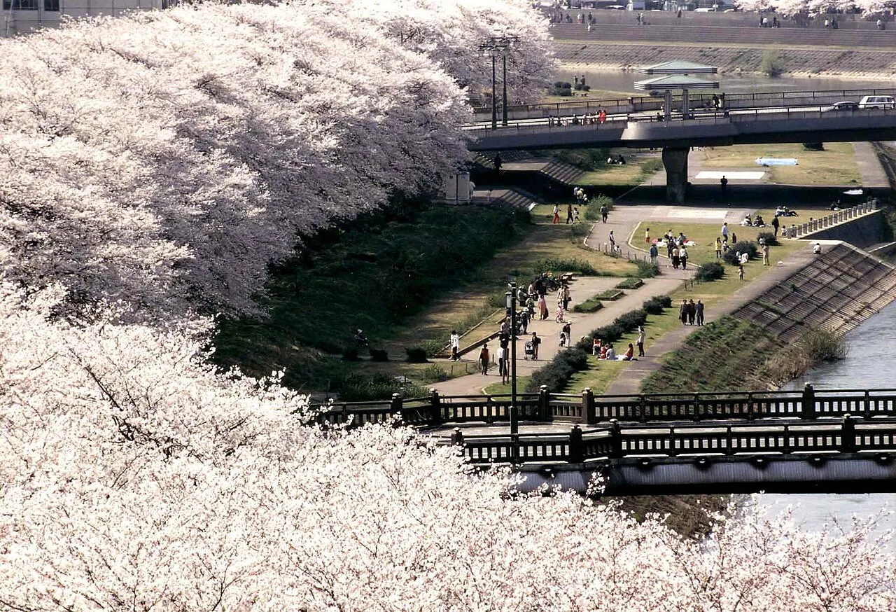 Asuwa River, Fukui-shi, Fukui, Japan