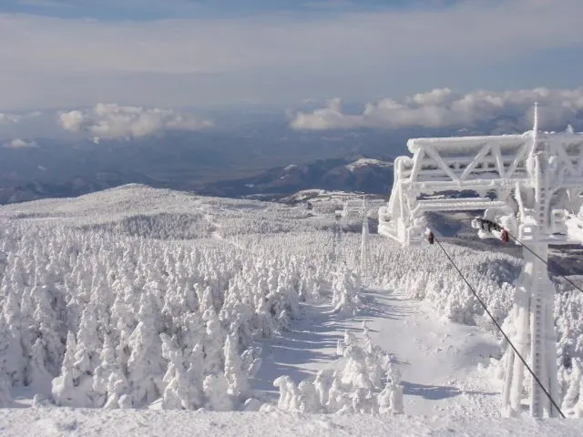 Zaō Snow Monsters, Yamagata, Yamagata, Japan