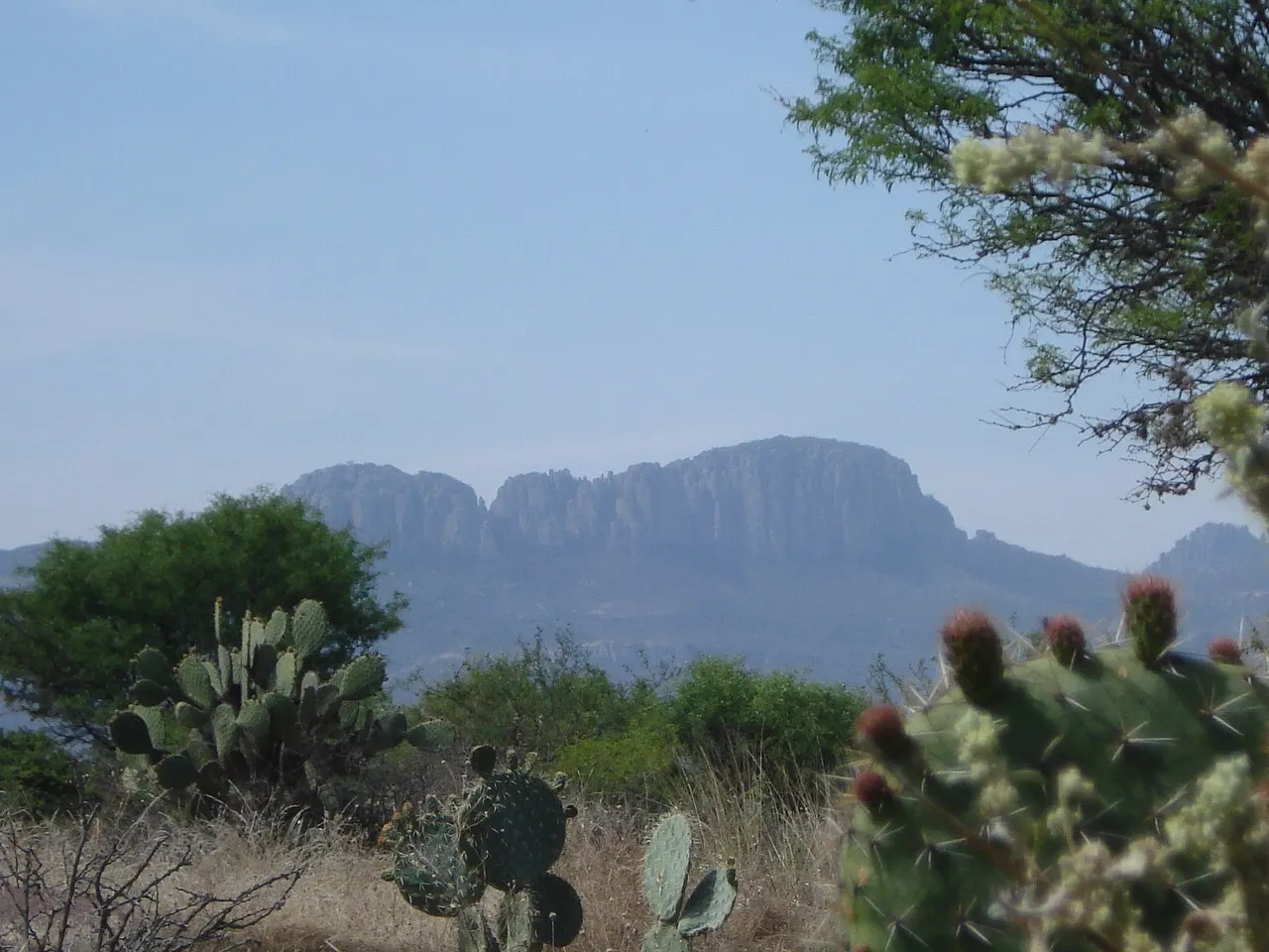 Sierra del Laurel, Calvillo, Aguascalientes, Mexico