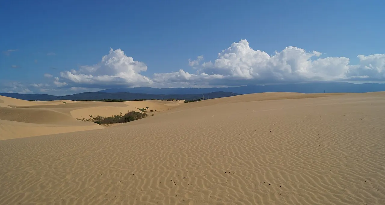 Médanos de Coro National Park, Coro, Falcón, Venezuela
