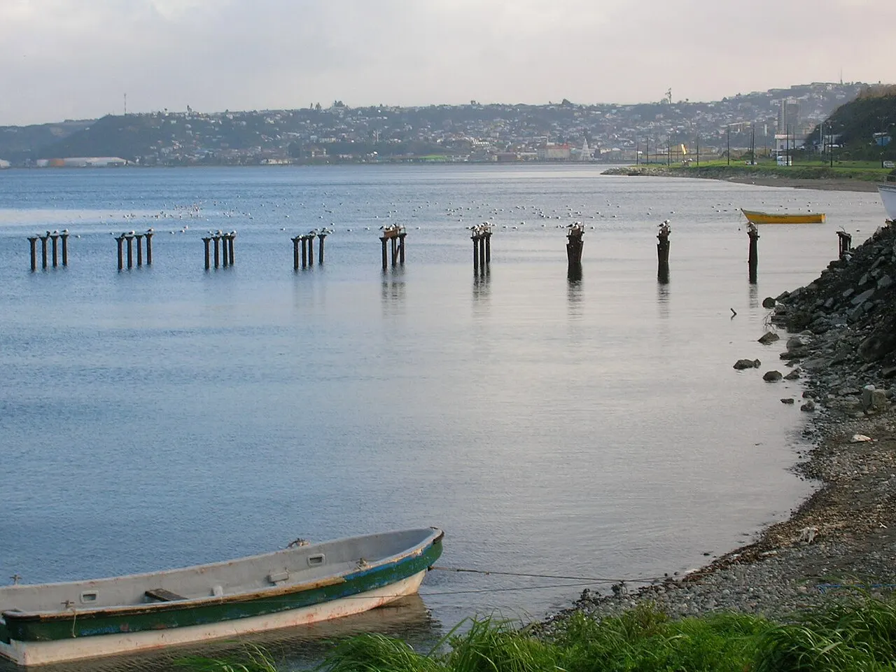 Pelluco, Puerto Montt, Los Lagos Region, Chile