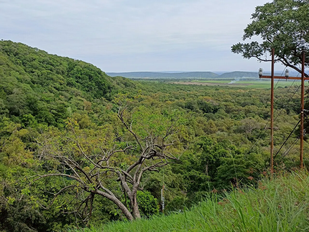 Ciudad Valles, Huasteca Potosina, San Luis Potosí, Mexico