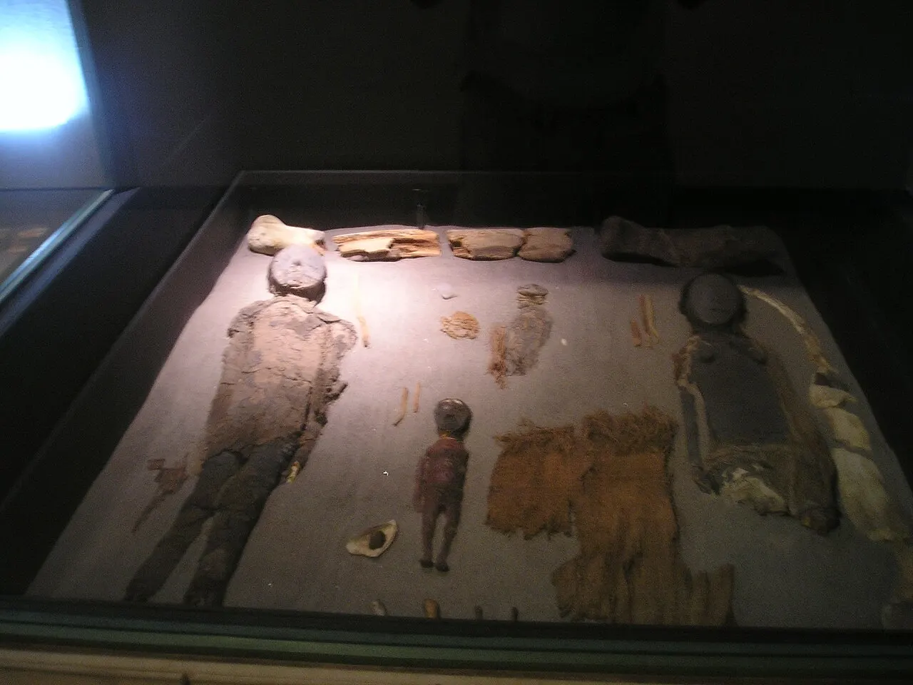 Chinchorro Mummies, Arica, Arica y Parinacota Region, Chile