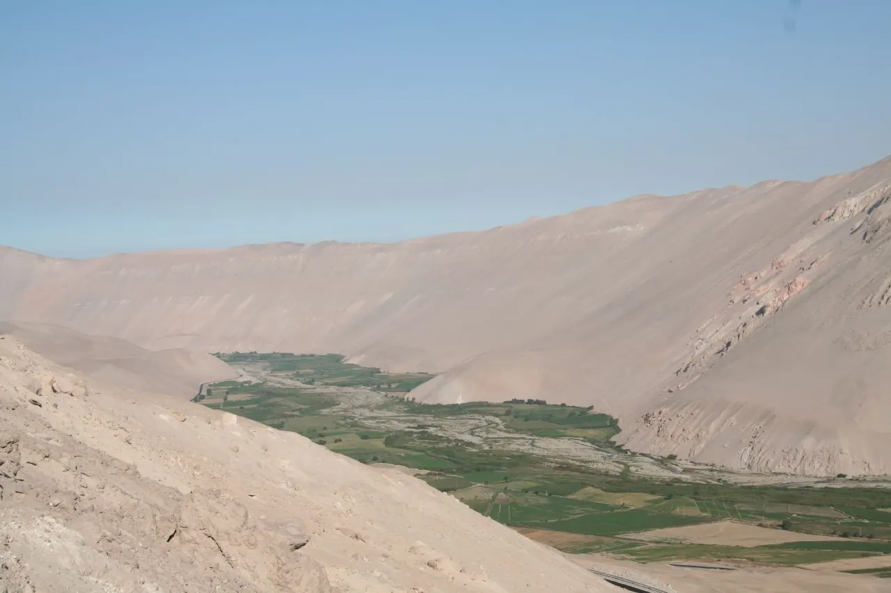 Azapa Valley, Arica, Arica y Parinacota Region, Chile