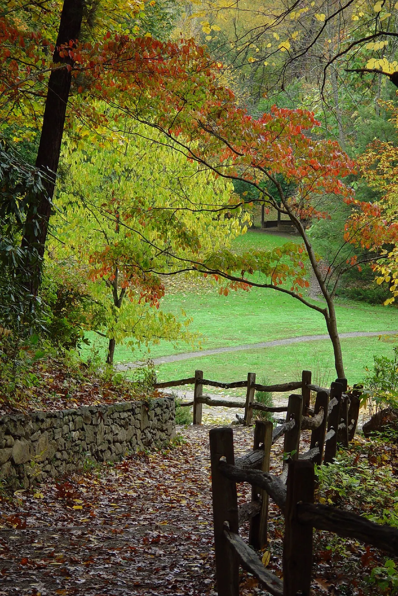 The Botanical Gardens at Asheville, Asheville, North Carolina, United States