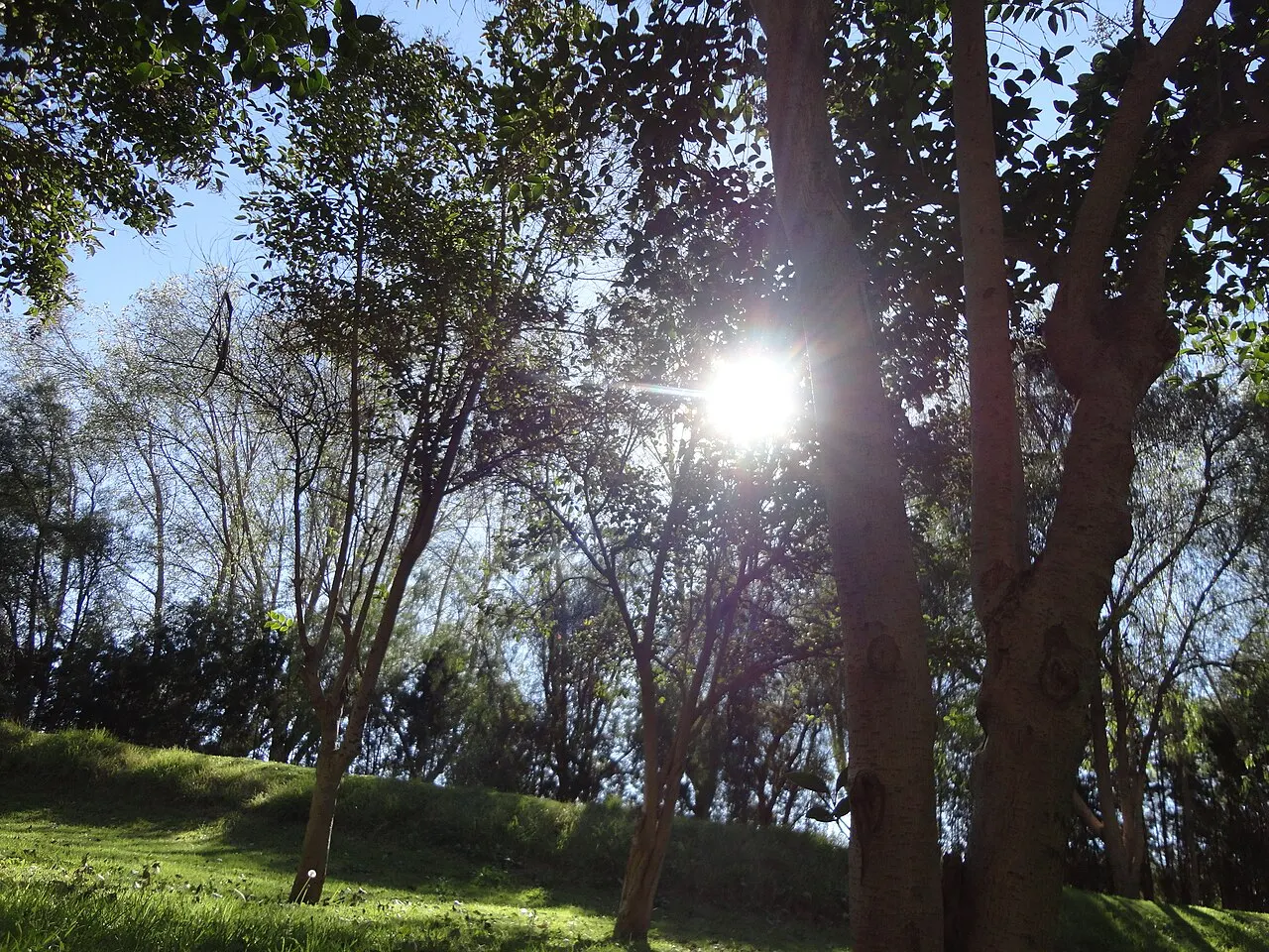 Parque Tangamanga I, San Luis Potosí, San Luis Potosí, Mexico