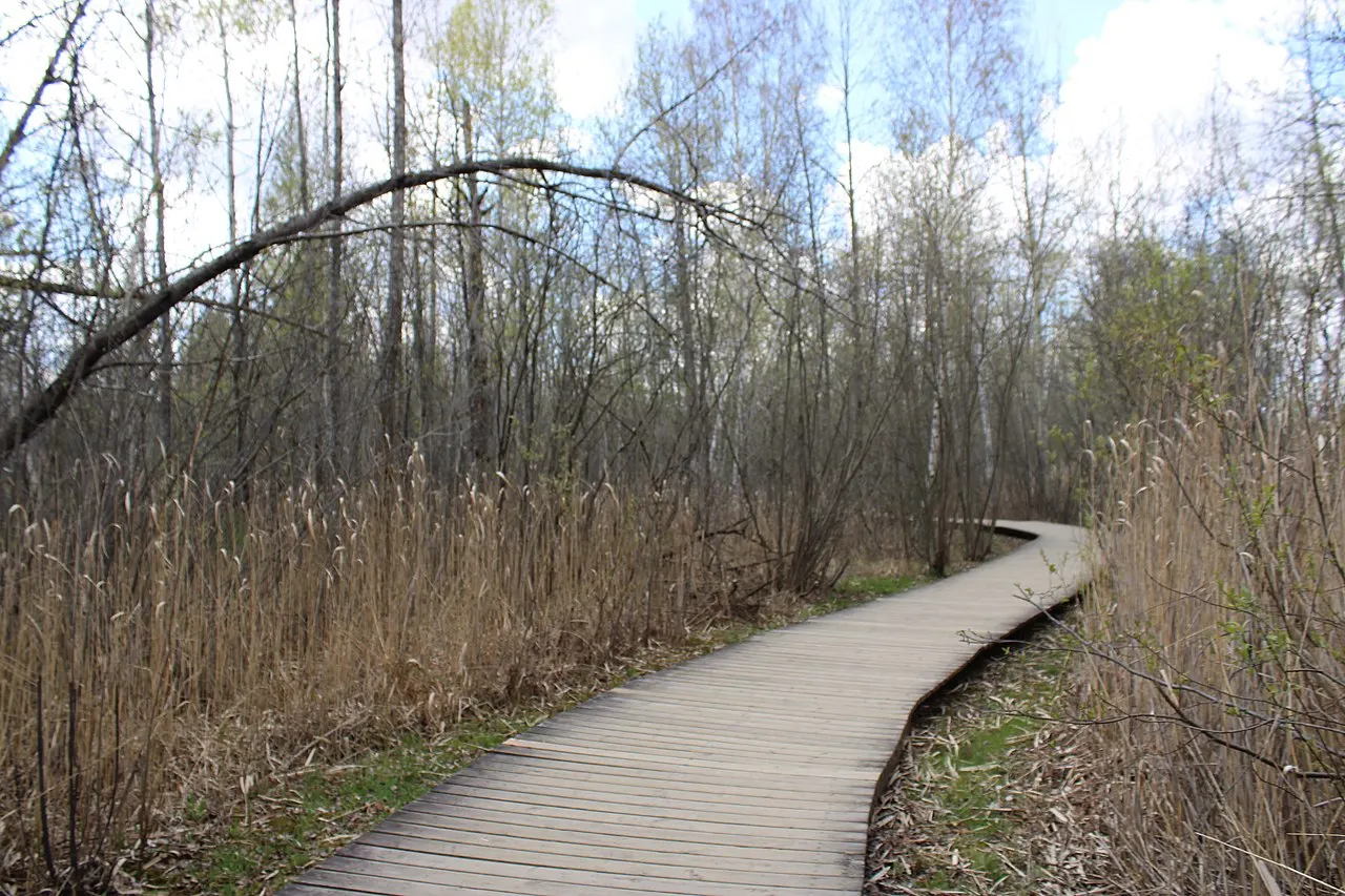 Marais Réal-D.-Carbonneau, Sherbrooke, Quebec, Canada