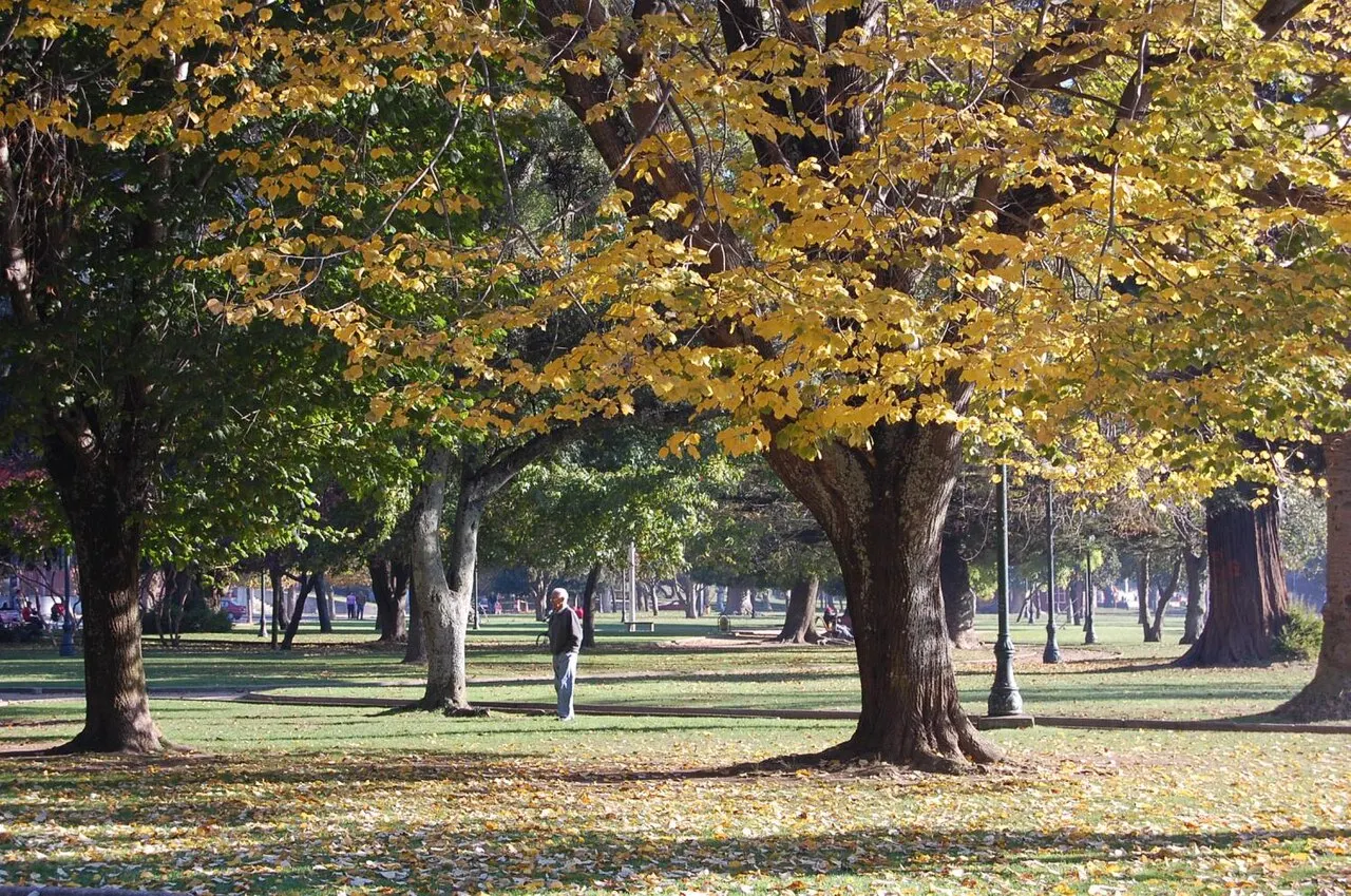 Parque Ecuador, Concepción, Biobio, Chile