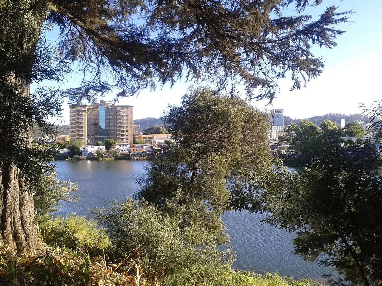 Las Tres Pascualas Lagoon, Concepción, Biobio, Chile