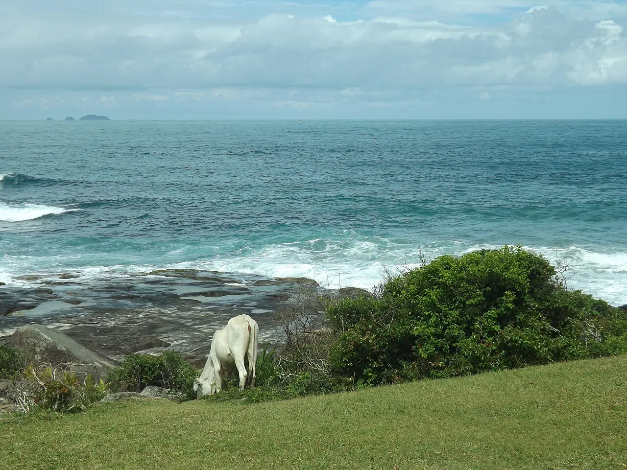 Ponta da Pinheira, Palhoça, Santa Catarina, Brazil
