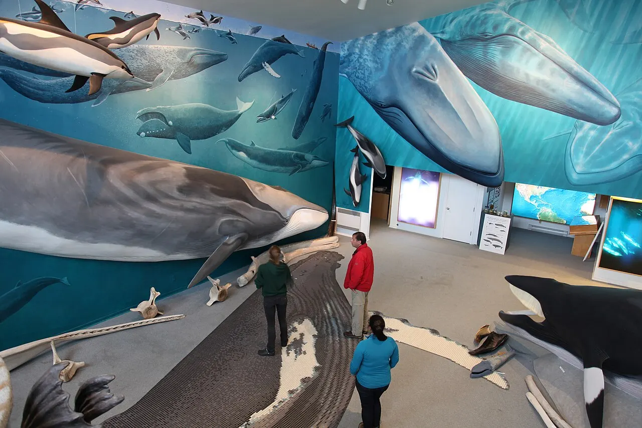 Mingan Island Cetacean Study Centre, Mingan Archipelago National Park Reserve, Quebec, Canada