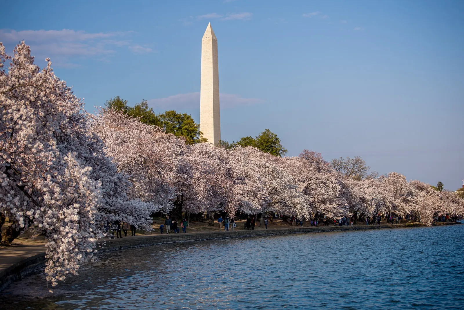 National Air and Space Museum, Washington, D.C., District of Columbia, United States