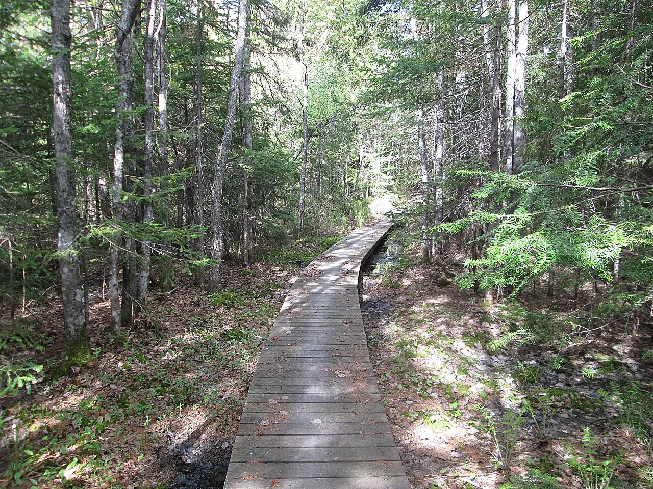 Kouchibouguac Bike Trails, Kouchibouguac National Park, New Brunswick, Canada