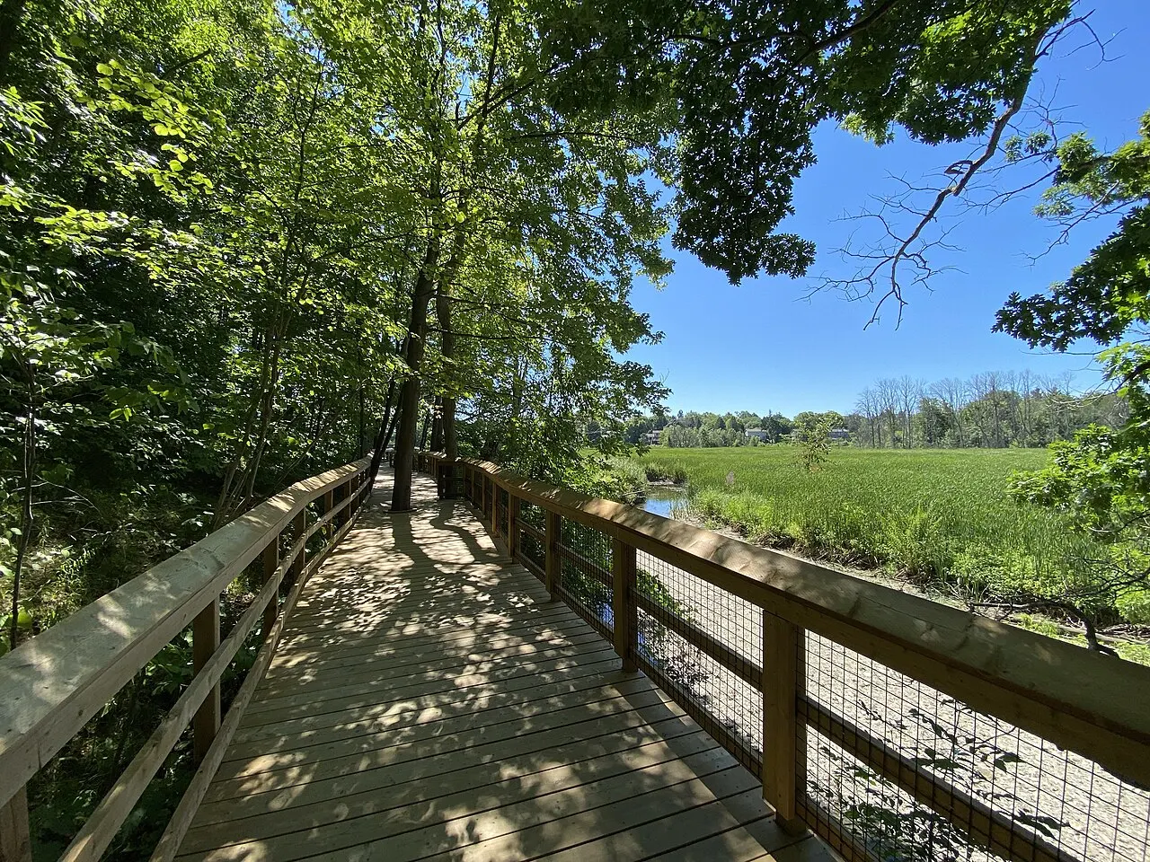 Rattray Marsh Conservation Area, Mississauga, Ontario, Canada