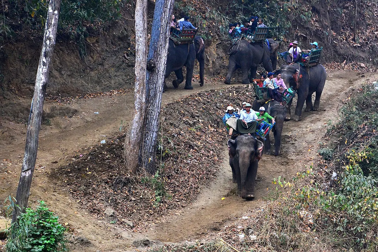 Alaungdaw Kathapa National Park, Monywa, Sagaing Region, Myanmar