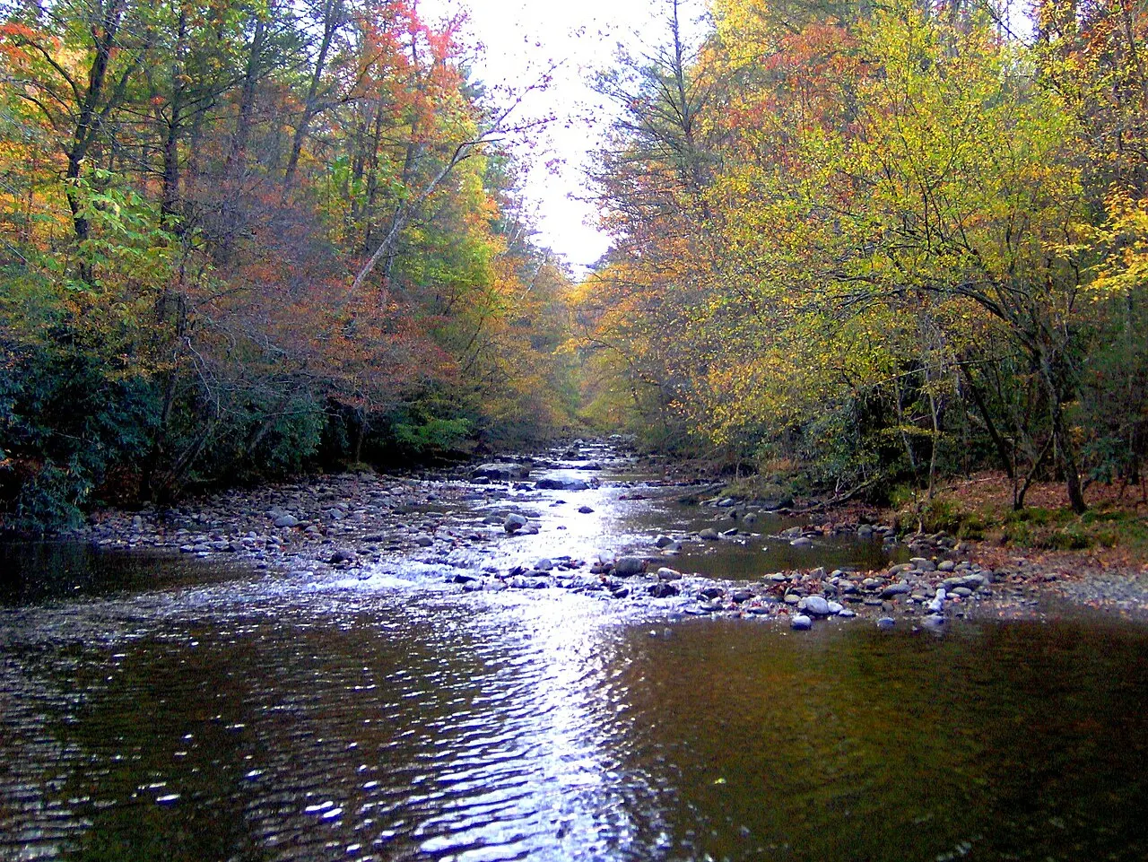 Elkmont and the Little River, Great Smoky Mountains National Park, Tennessee and North Carolina, United States