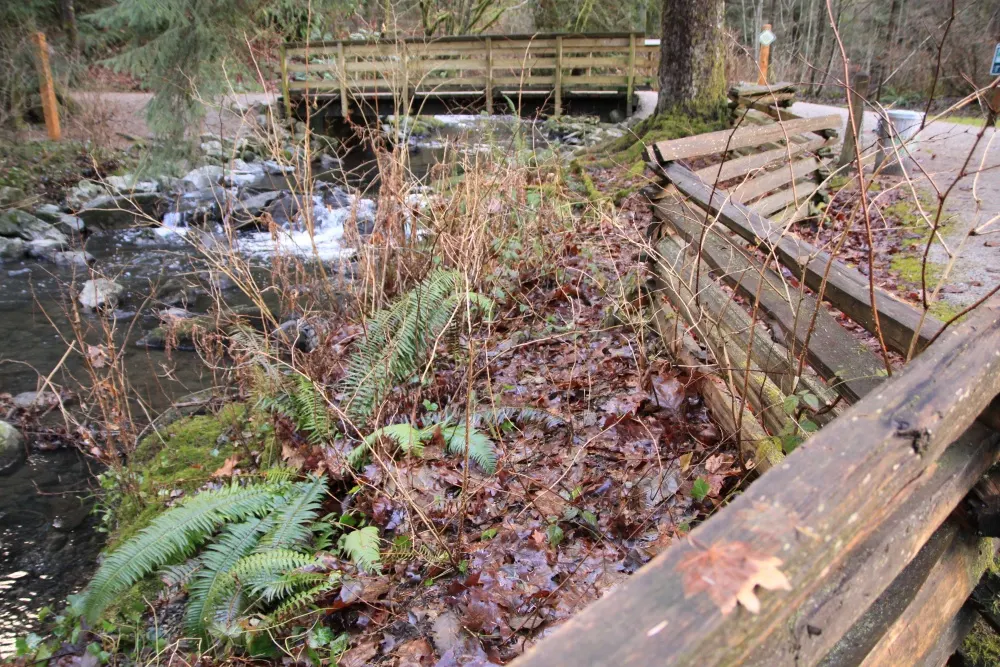 Tynehead Regional Park, Surrey, British Columbia, Canada