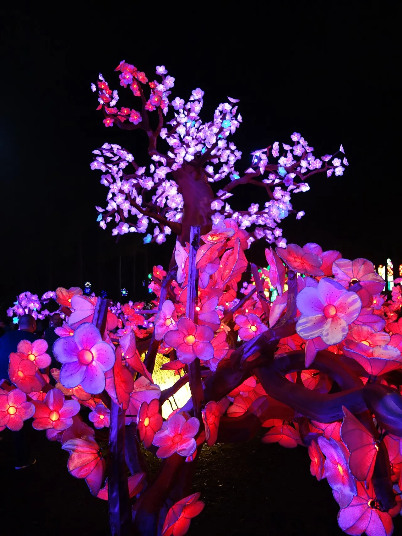 North Carolina Chinese Lantern Festival, Cary, North Carolina, United States