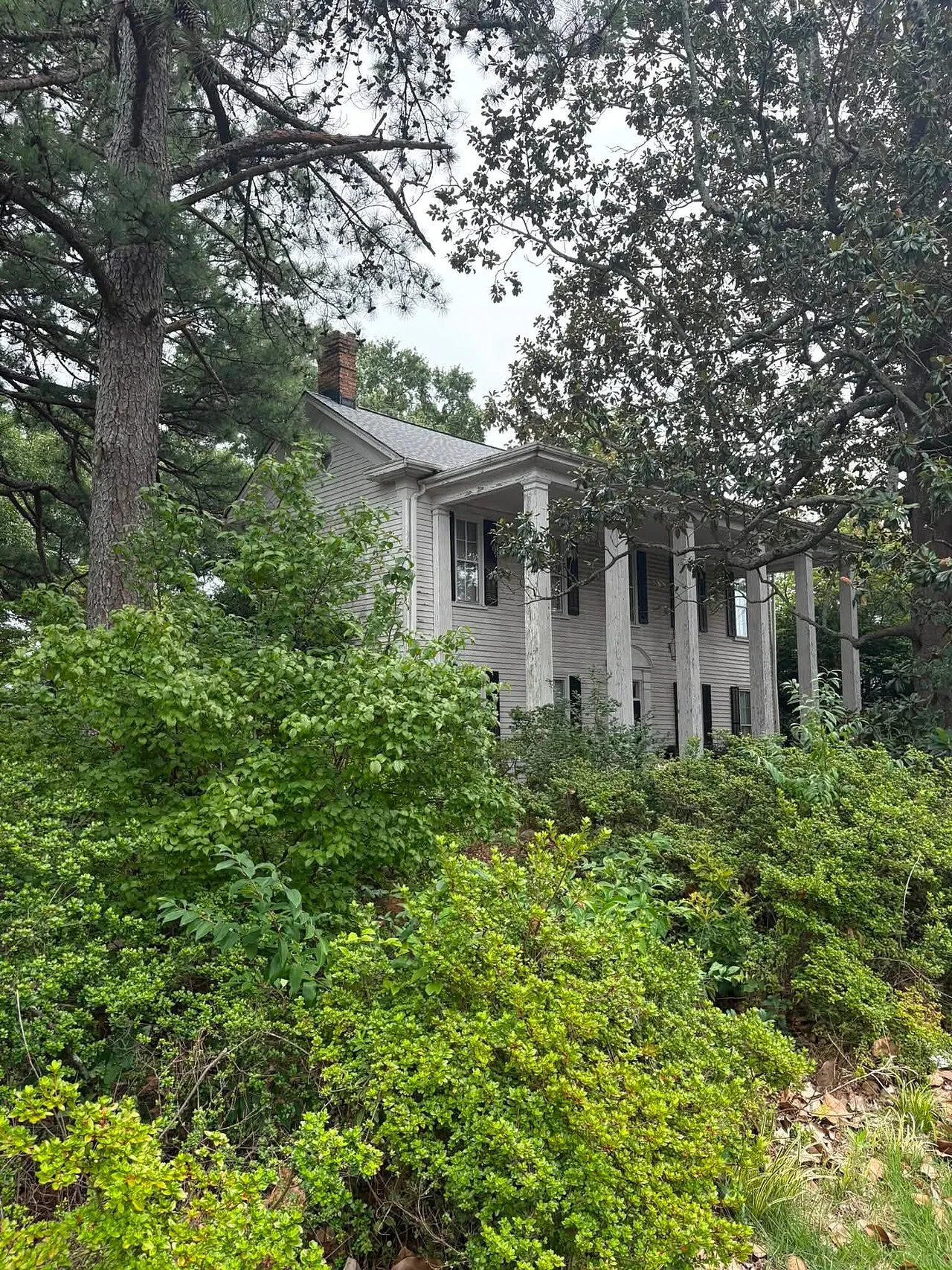 Salem Street Apex, Apex, North Carolina, United States