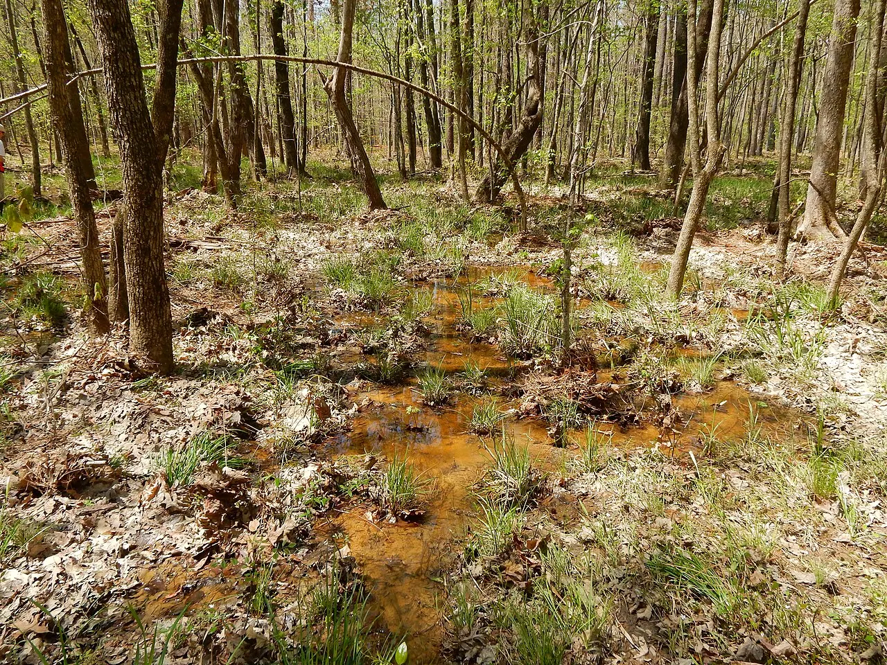 Apex Nature Park, Apex, North Carolina, United States
