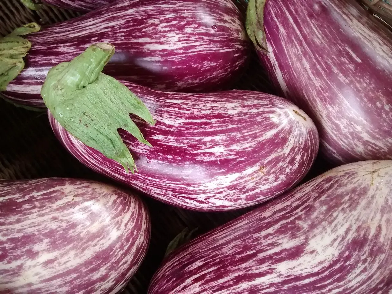 Carrboro Farmers' Market, Carrboro, North Carolina, United States