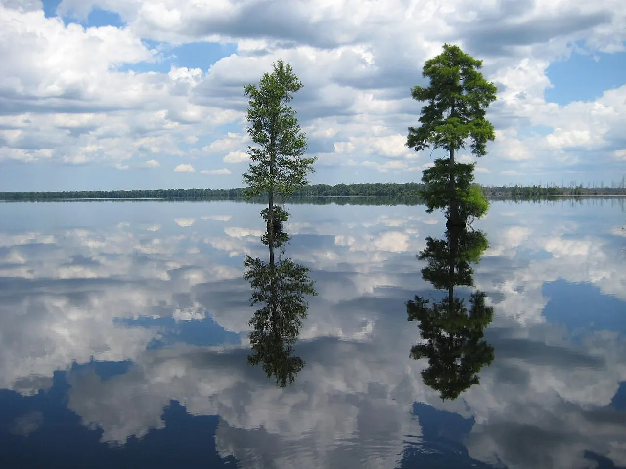 Great Dismal Swamp, Elizabeth City, North Carolina, United States