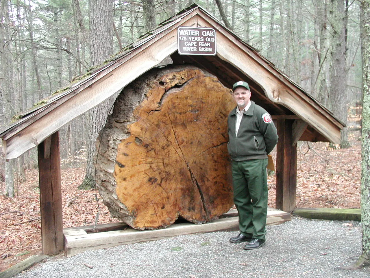 Tuttle Educational State Forest, Lenoir, North Carolina, United States