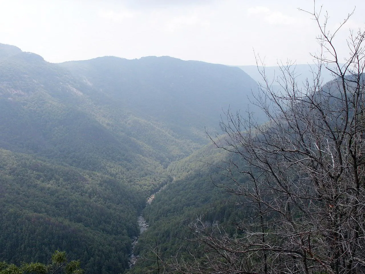 Linville Gorge, Morganton, North Carolina, United States