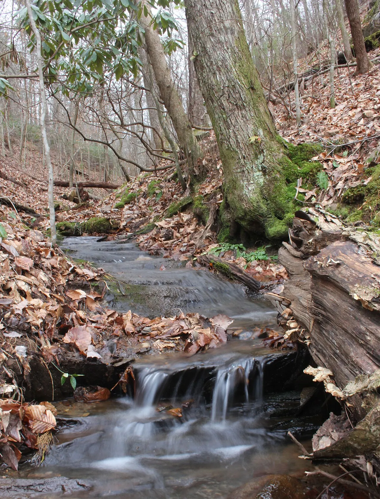 South Mountains State Park, Morganton, North Carolina, United States
